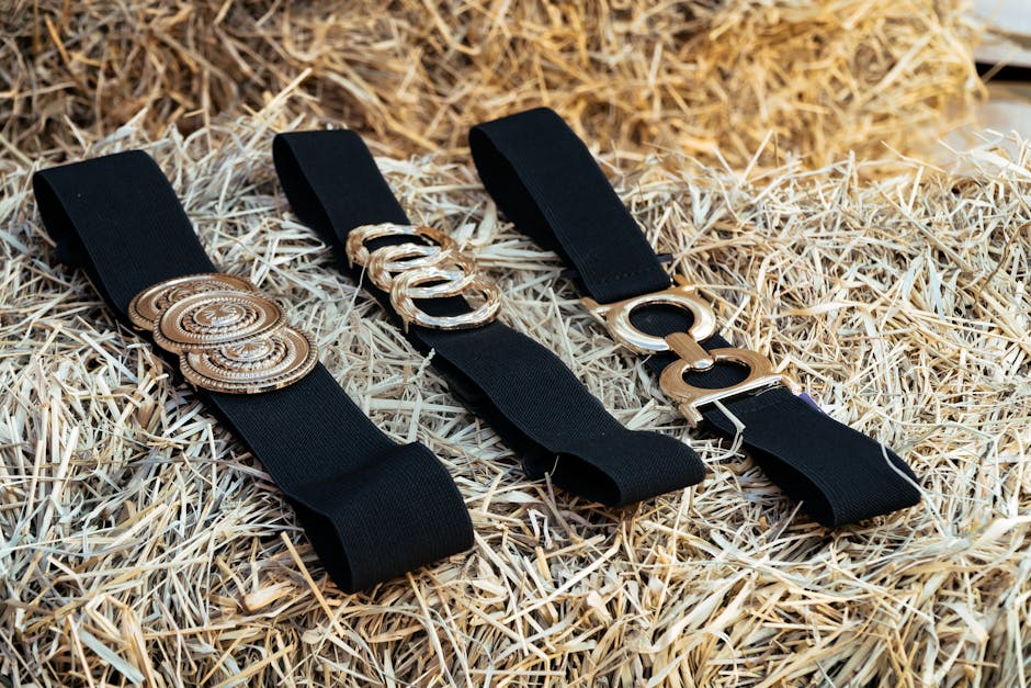 벨트 여성 세련된 좁은 | 가성비 비교 솔직 후기