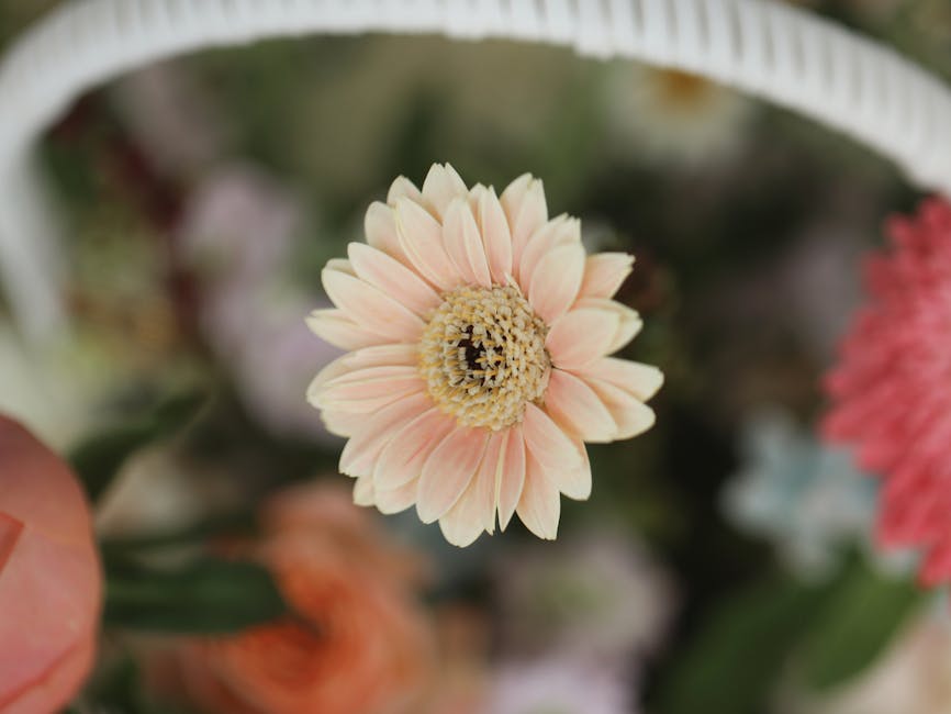 가성비 최고! 괄사 얼굴 마사지, 초보자부터 전문가까지 완벽